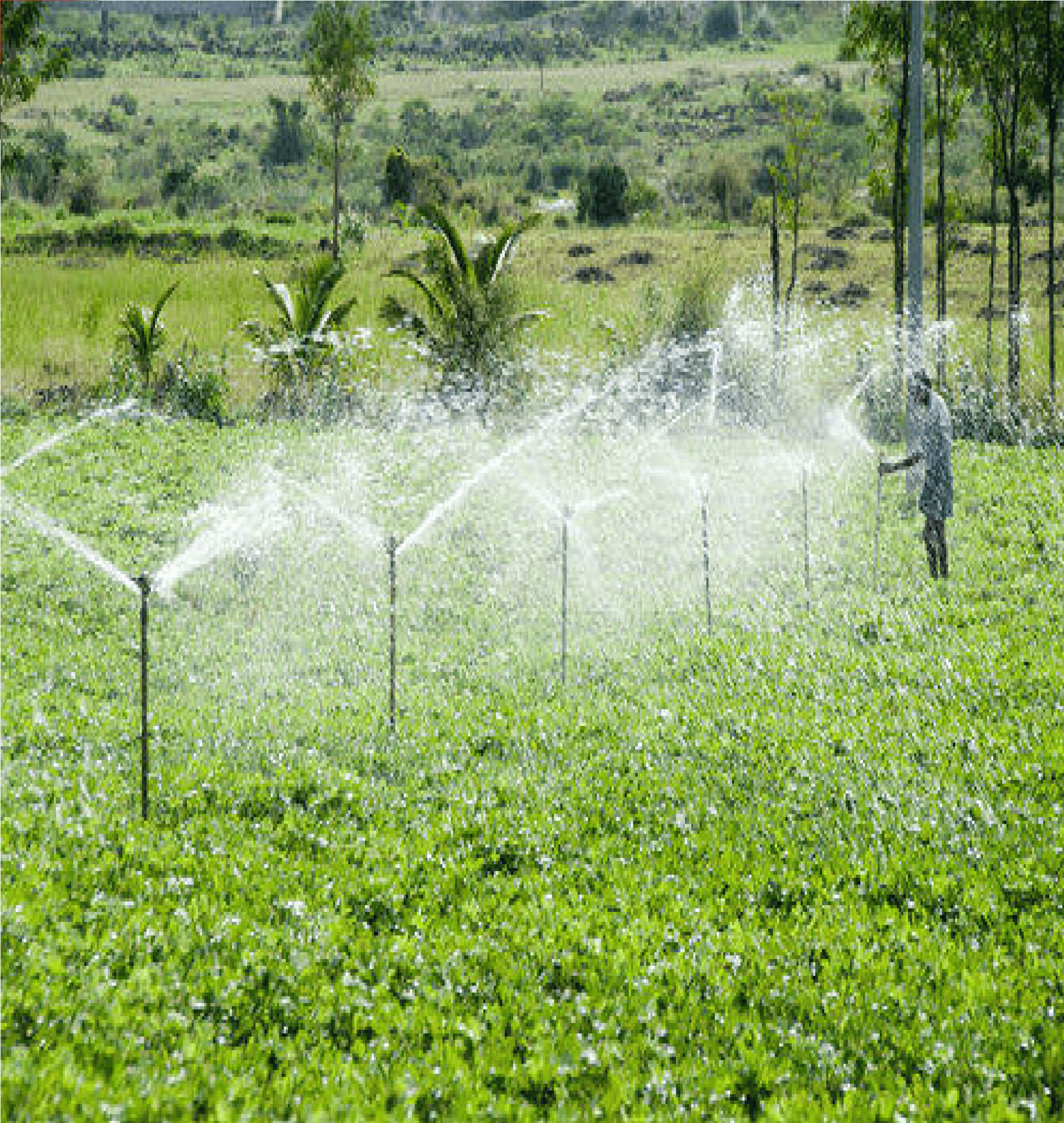 sprinkler-irrigation-system.png